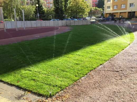 bieblova5.jpg
