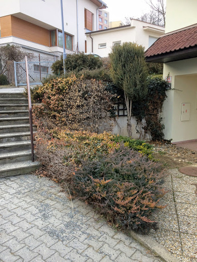 Juliánovpřed1.JPG