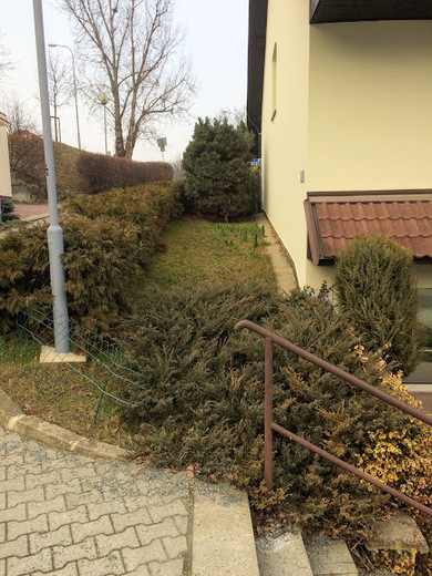 juliánovpřed2.JPG