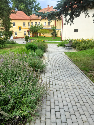 plaveč10.JPG