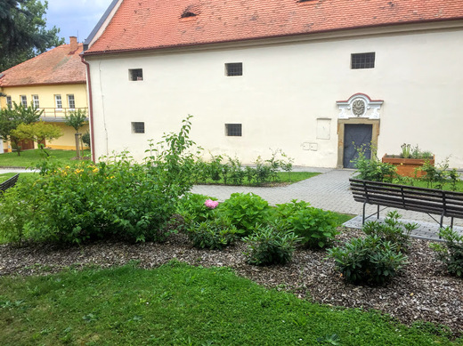 plaveč11.JPG