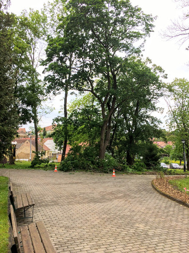 plaveč3.JPG