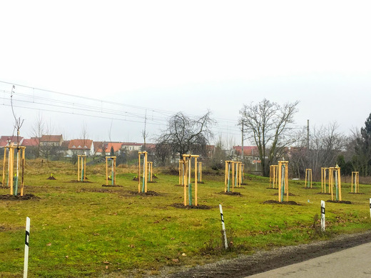 ponětovice5.JPG