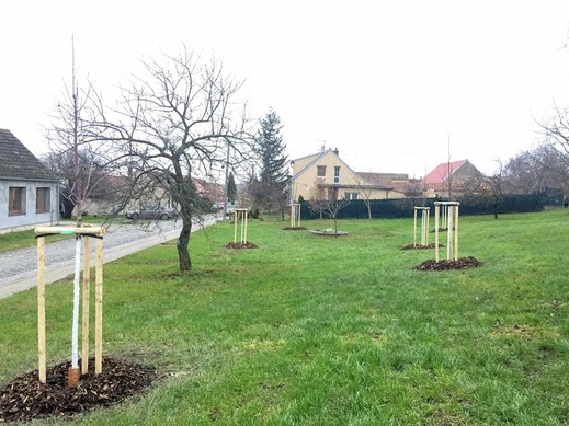 Starovičky4.JPG