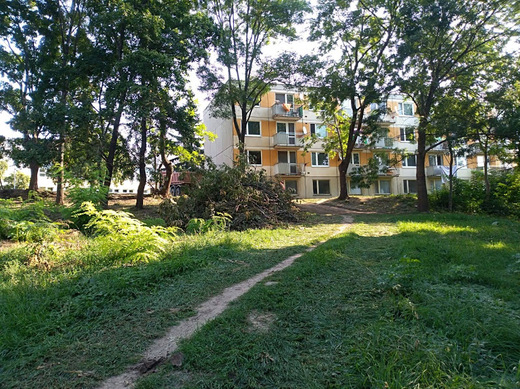 Tasovice1.jpg