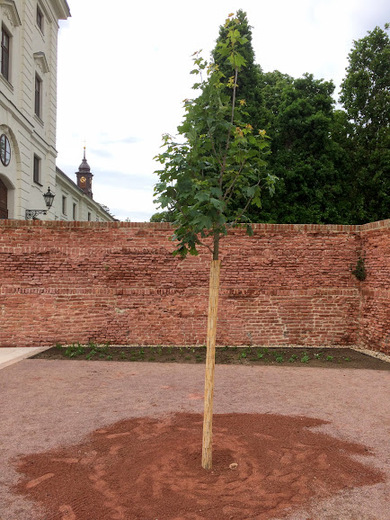 židlochovice7.JPG